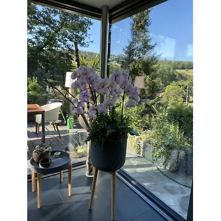 Design And Art Comfortable 別荘 シュランゲンバート