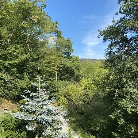 Design And Art Comfortable 別荘 シュランゲンバート