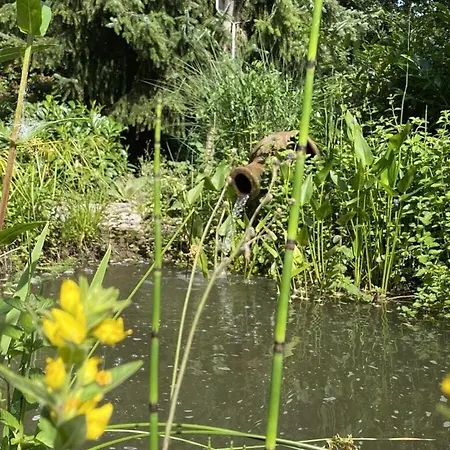 Design And Art Comfortable シュランゲンバート